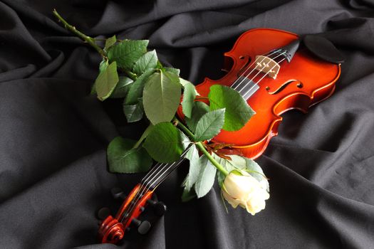 Violin with a white rose on a black background