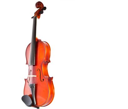 Violin isolated on white background