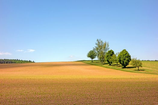 Landscape with fields and trees on a sunny day in Kraichgau, the german toscana