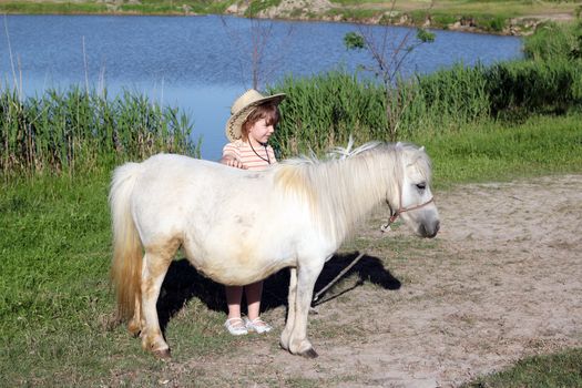 little girl and white pony horse 