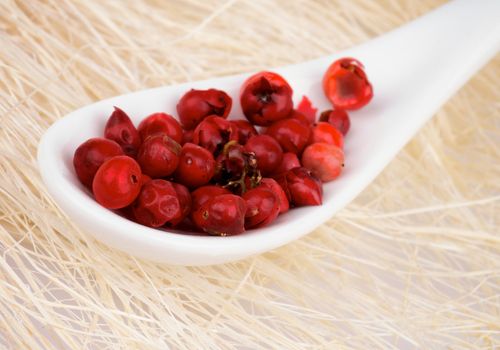 Red Peppercorn in White Spoon closeup on Bast background