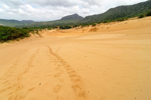 Footprints going up a sand dune in Macuira National Park in La Guajira, Colombia