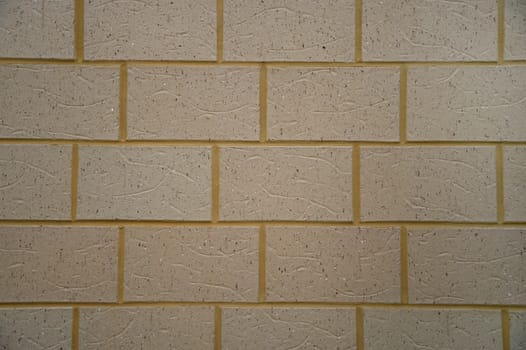 A close shot of a brick wall