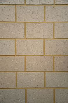 A close shot of a brick wall