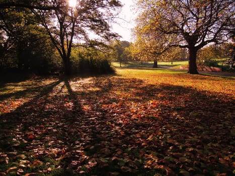 A colorful Autumn landscape.