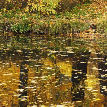 Reflection of autumn trees in water of calm pond