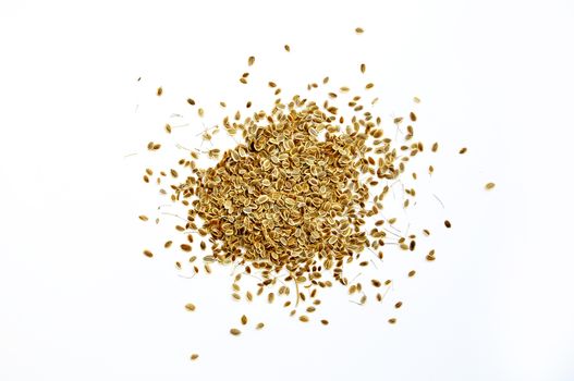 handful of seeds of fennel on a white background. the isolated.