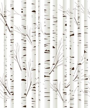 Seamless pattern, background with birch wood trees over white background