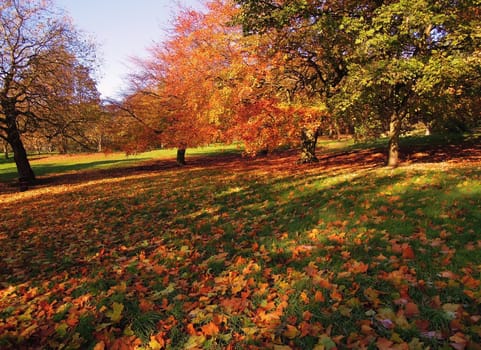 A colorful Autumn landscape.