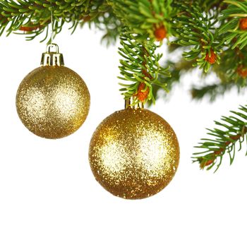 Golden christmas decoration on fir branch isolated on white background