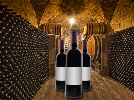 wine bottles and oak barrels stacked in a winery cellar