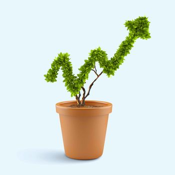 Plant in pot shaped like graph. Wealth concept