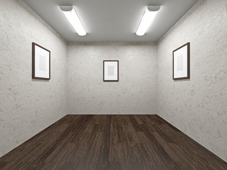 Gallery with blank pictures on the wall