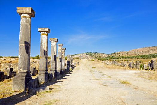 Volubilis - Roman basilica ruins in Morocco, North Africa