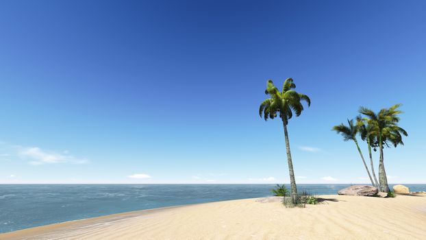 Relax on the beach with blue sky and coconuts