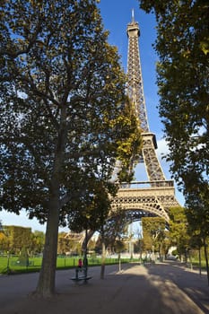 View of the Eiffel Tower from the Champ de Mars in Paris.