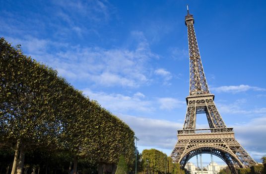 View of the Eiffel Tower from the Champ de Mars in Paris.