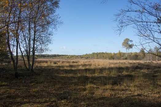 nature area gilderhauser venn in germany