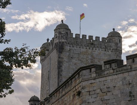 castle in bad bentheim gemany with flag