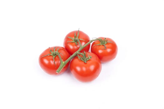 tomatos on a vine isolated on a white background