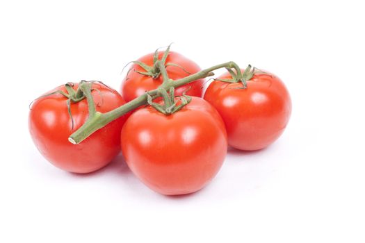 tomatos on a vine isolated on a white background