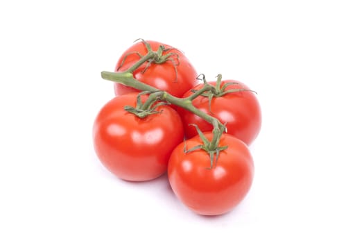 tomatos on a vine isolated on a white background