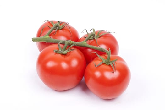 tomatos on a vine isolated on a white background