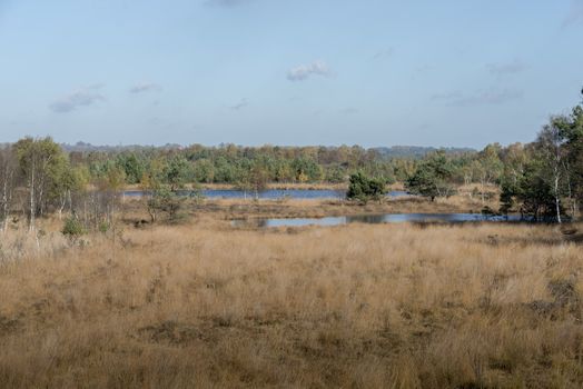 nature area gilderhauser venn in germany