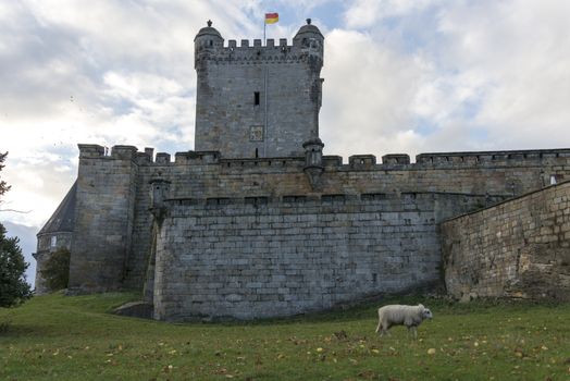 castle in bad bentheim gemany with flag