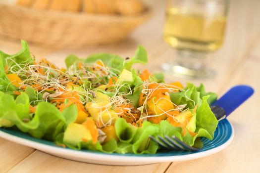 Fresh and light vegetarian salad amde of mango, avocado, grated carrots and lettuce, sprinkled with alfalfa sprouts and roasted sunflower seeds (Selective Focus, Focus one third into the salad)  