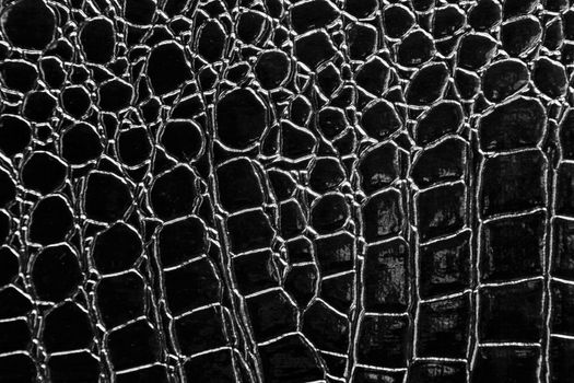 Black crocodile leather texture with for background
