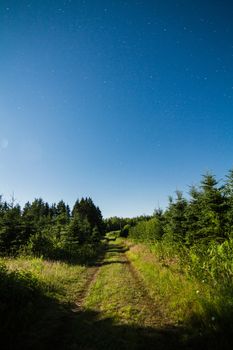 Country Road in the forest with Clear Sky and Stars at Night Time