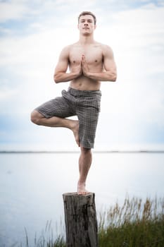 Young Adult Doing the Tadasana (Tree) position in Yoga on a Stump in Nature