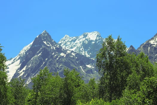 Snowy caucasus mountains and green forest under