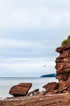 Beautiful Landscape Of Gaspe, Quebec, Canada Shore Showing a Cliff and Seagull Flying by