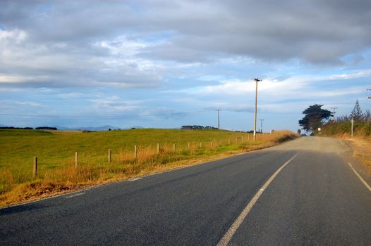 Rural road at farm area, Dargaville, New Zealand