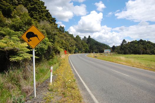 Yellow kiwi bird road sign at roadside, New Zealand