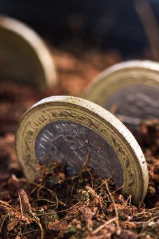 Close up view of coins in dirt soil.