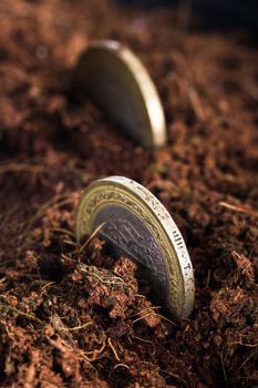 Close up view of coins in dirt soil.