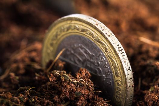 Close up view of coins in dirt soil.