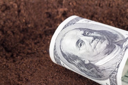 One hundred dollar banknote on soil for growing.