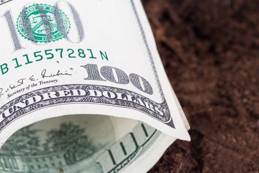 One hundred dollar banknote on soil for growing.