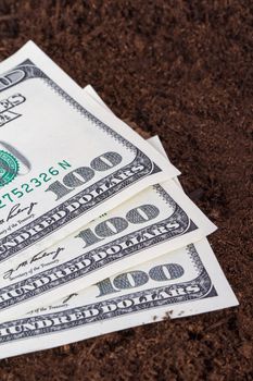 One hundred dollar banknotes on soil for growing.