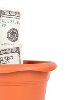 Close up view of flower pot with one hundred dollar bills, isolated on white background.