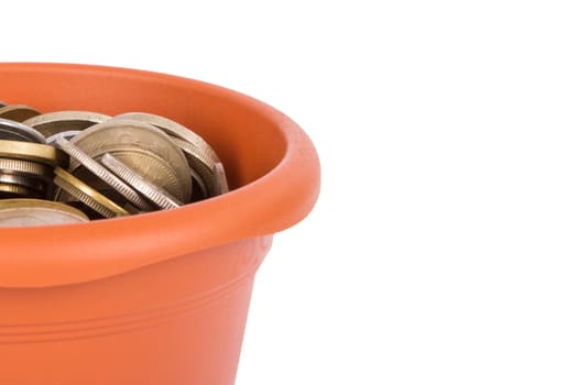 Flower pot and full of coins money inside, isolated on white background.