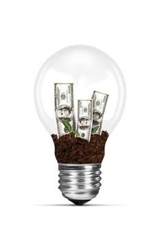 One hundred dollar banknotes growing in electric light bulb, isolated on white background.
