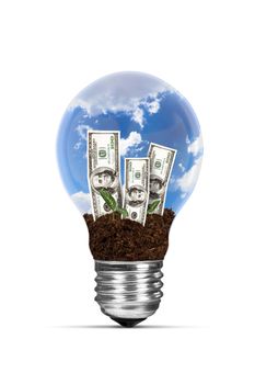 One hundred dollar banknotes with green plants growing in electric light bulb, isolated on white background.