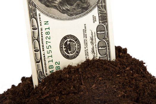 Detail view, pile of soil with one hundred dollar bill, isolated on white background.