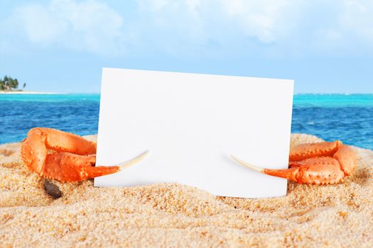 Fun vacation or holiday concept, c rab claws holding blank business card at the beach