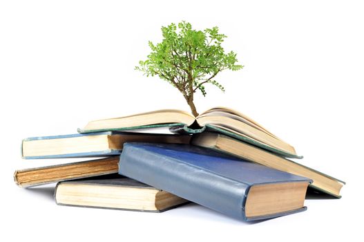 Tree growing from a book